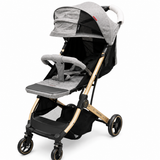 Luxury Foldable Baby Stroller with Canopy & Storage Basket
