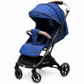 Blue Baby Stroller with Adjustable Canopy
