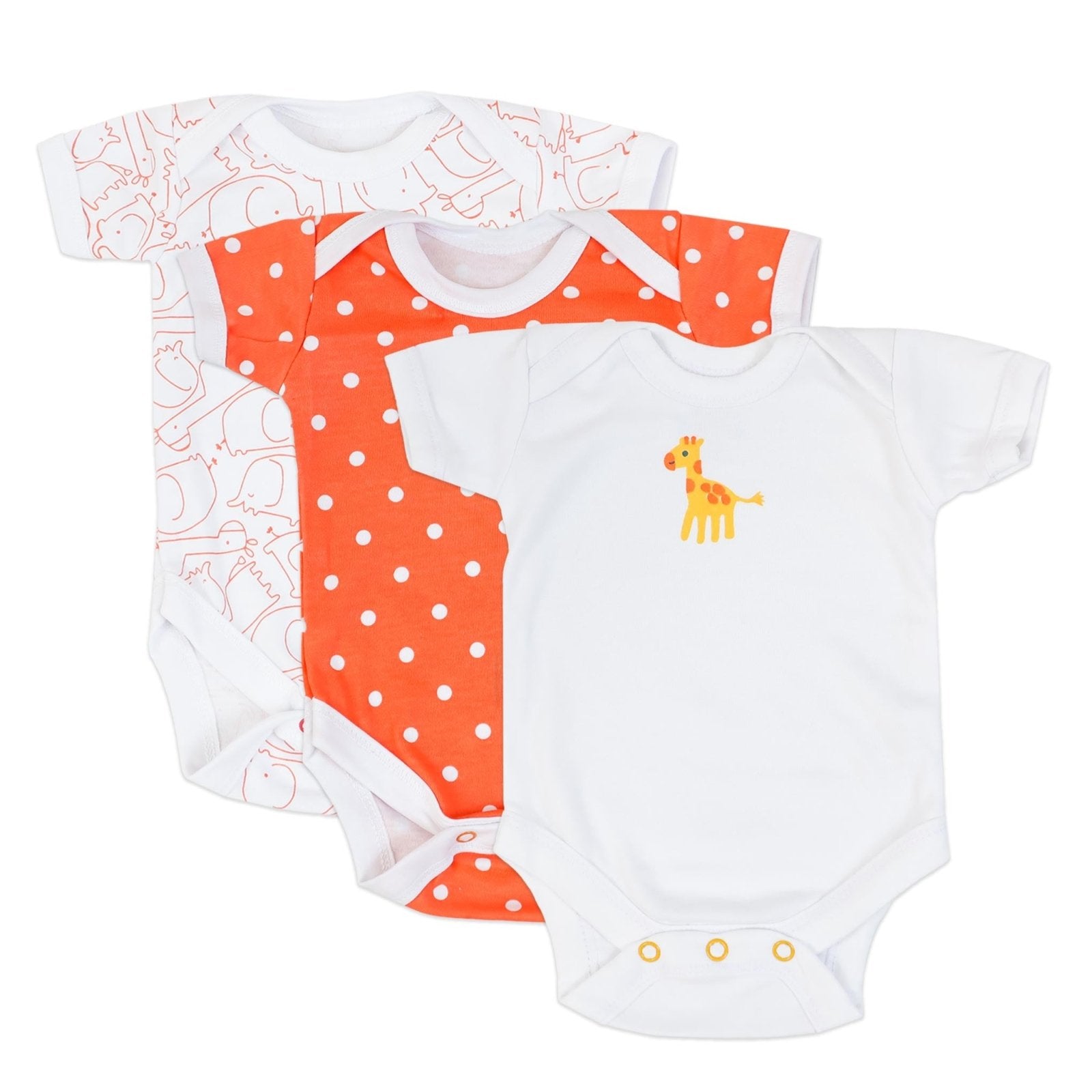 Bodysuit pack of 3 Half Sleeve by Little Darling