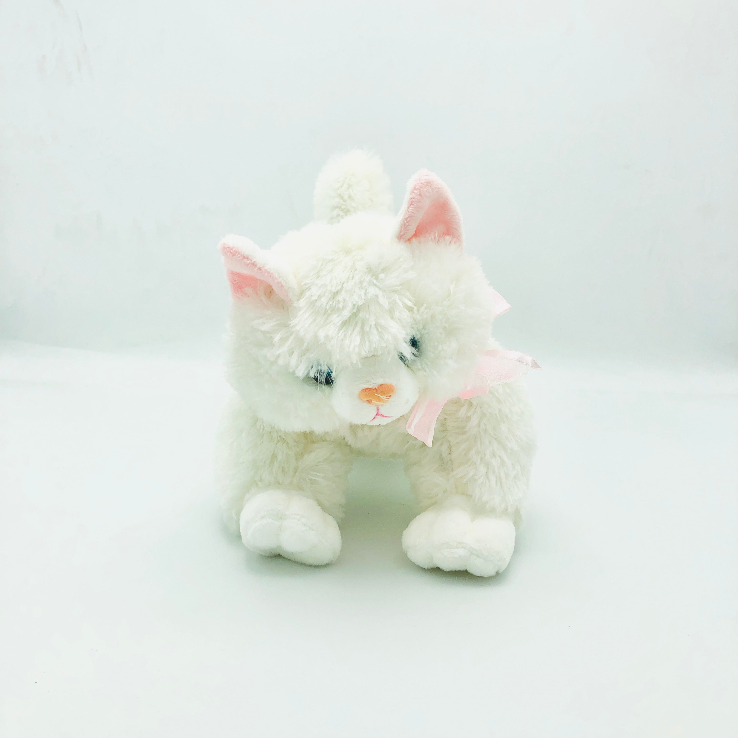 Cute Cat White Color