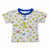 Dinosaur Print Boys T Shirt & Shorts Set Grey & Blue | Little Darling