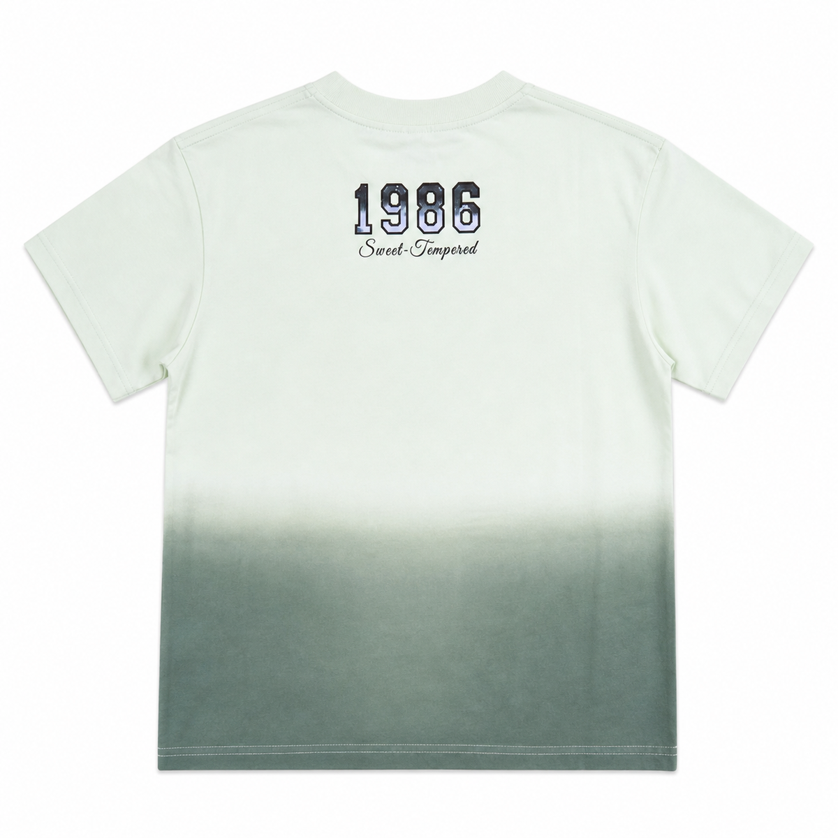 Boys Mint Green Ombre Cotton T Shirt