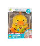 Musical Duck Plush Baby Toy